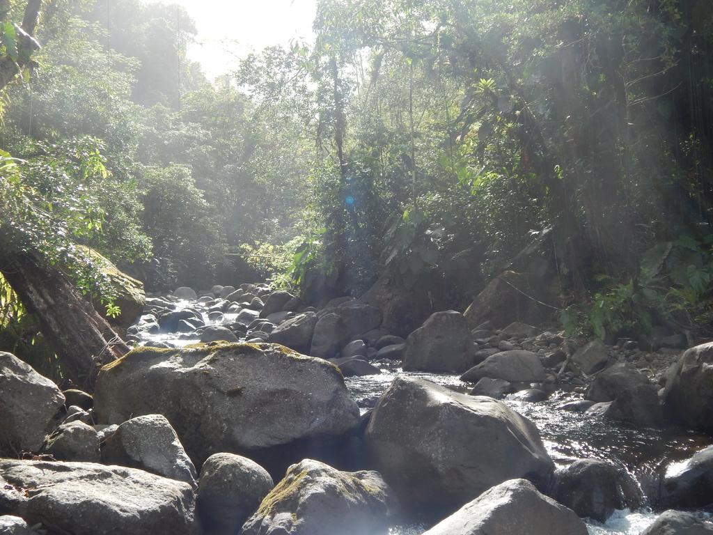 Atlantic Gites กาเปสแตร์-แบล-โล ภายนอก รูปภาพ